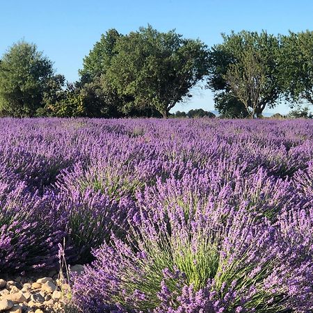 Les Costebelles Bed & Breakfast Valensole Bagian luar foto
