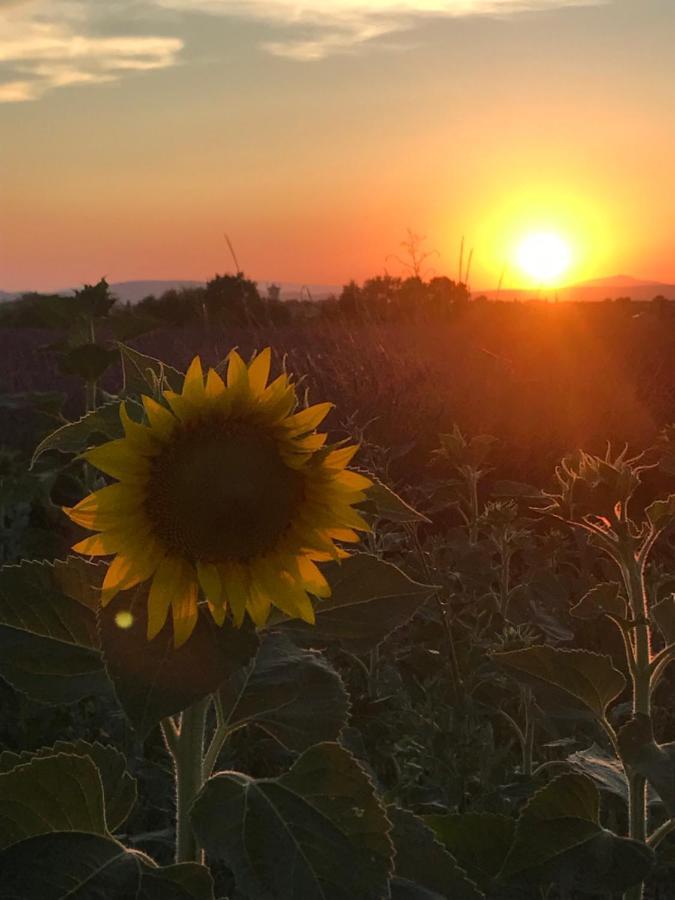 Les Costebelles Bed & Breakfast Valensole Bagian luar foto