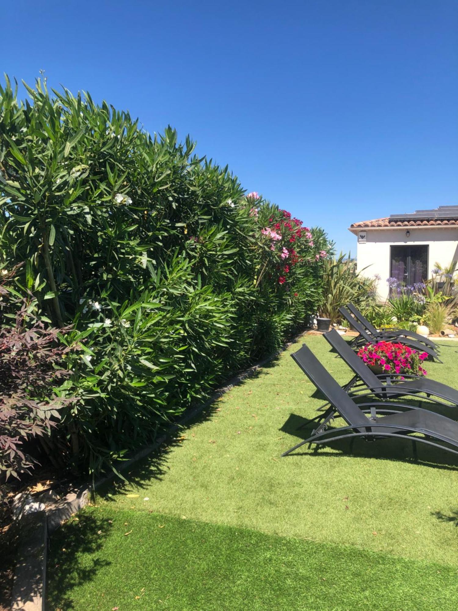Les Costebelles Bed & Breakfast Valensole Bagian luar foto