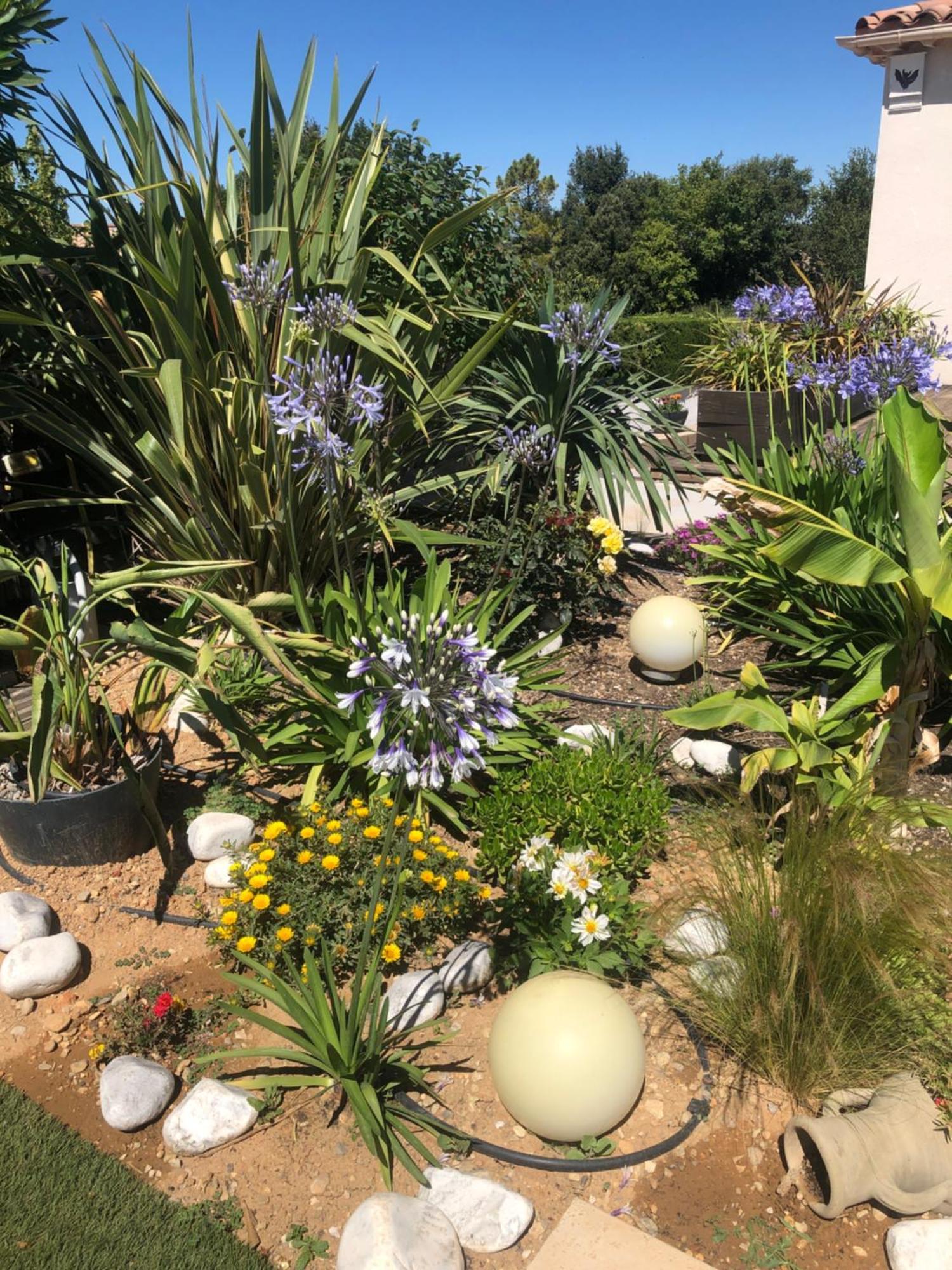 Les Costebelles Bed & Breakfast Valensole Bagian luar foto